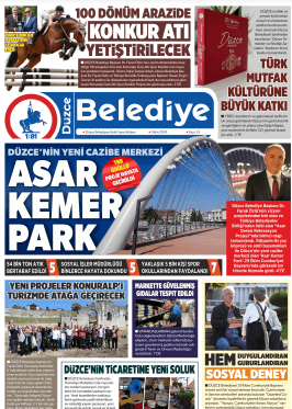 Sayı 65
