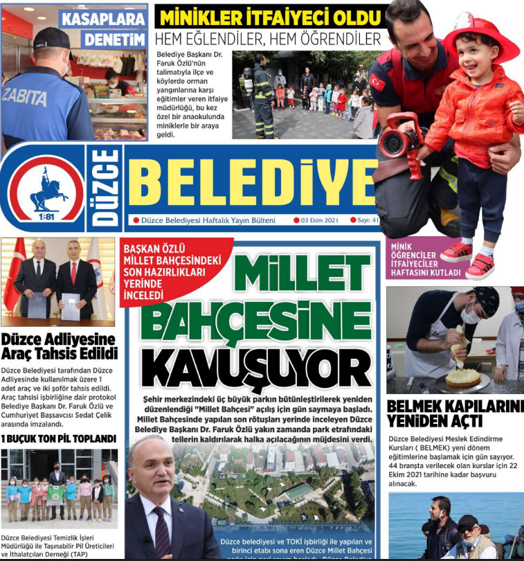 Sayı 41