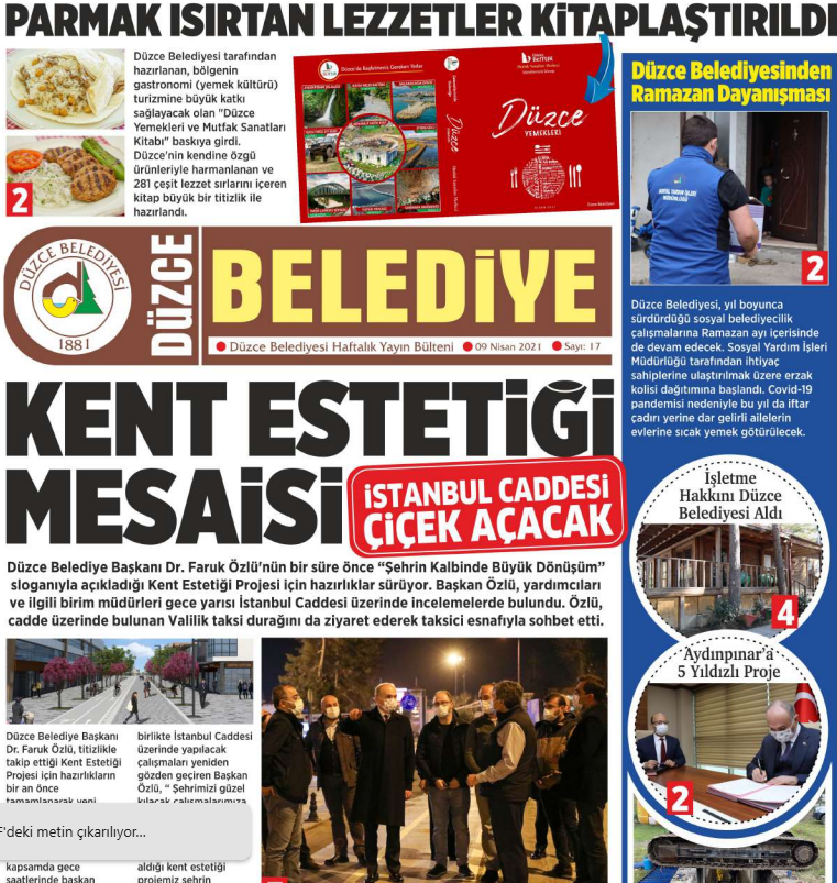 Sayı 17