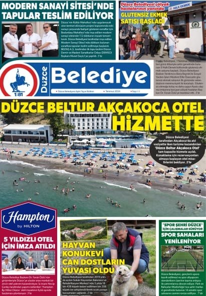 Sayı 62