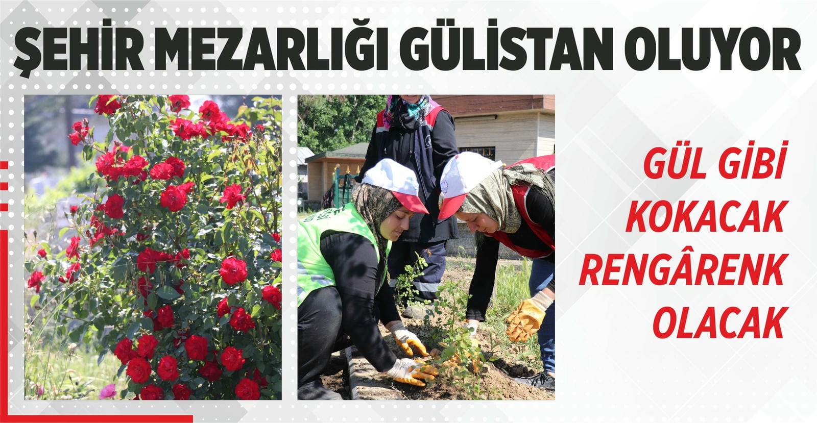 MEZARLIKLARDA GÜL DİKİMİ BAŞLADI