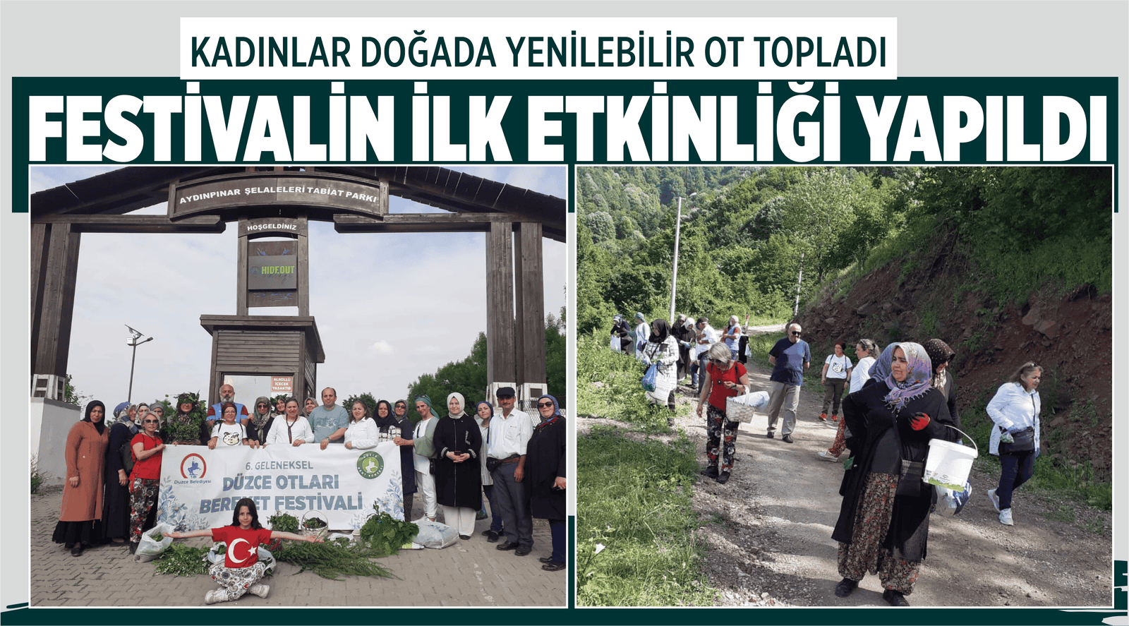 KADINLAR DOĞADA YENİLEBİLİR OT TOPLADI