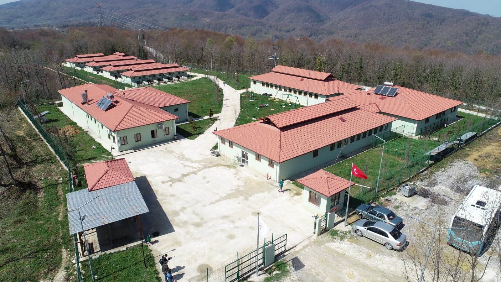 140 KÖPEK DAHA KISIRLAŞTIRILDI