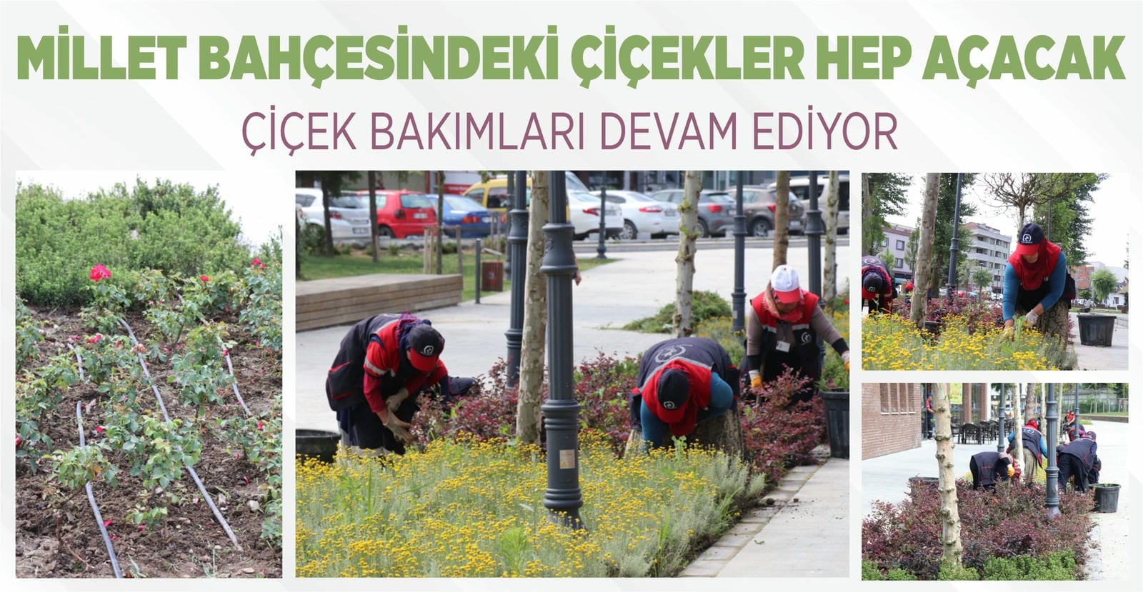 MİLLET BAHÇESİNDEKİ ÇİÇEKLER HEP AÇACAK