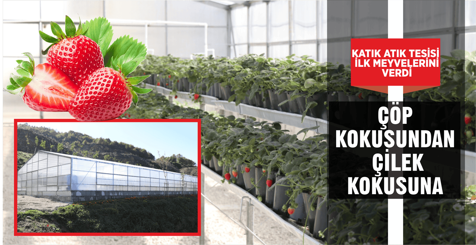 KATIK ATIK TESİSİ İLK MEYVELERİNİ VERDİ