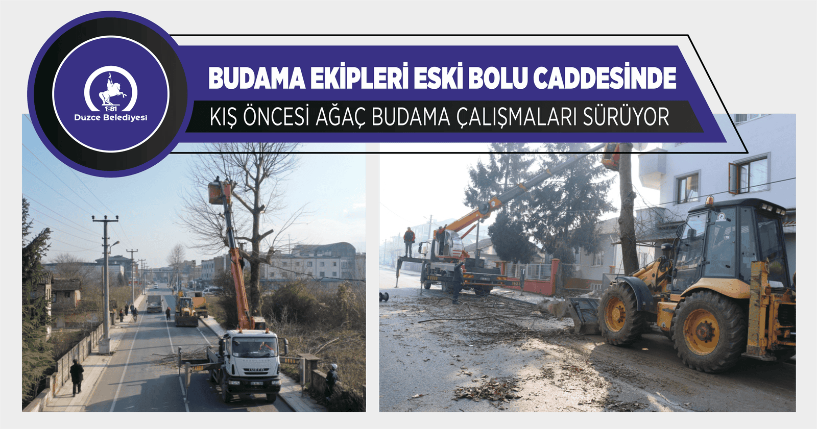 KIŞ ÖNCESİ AĞAÇ BUDAMA ÇALIŞMALARI SÜRÜYOR