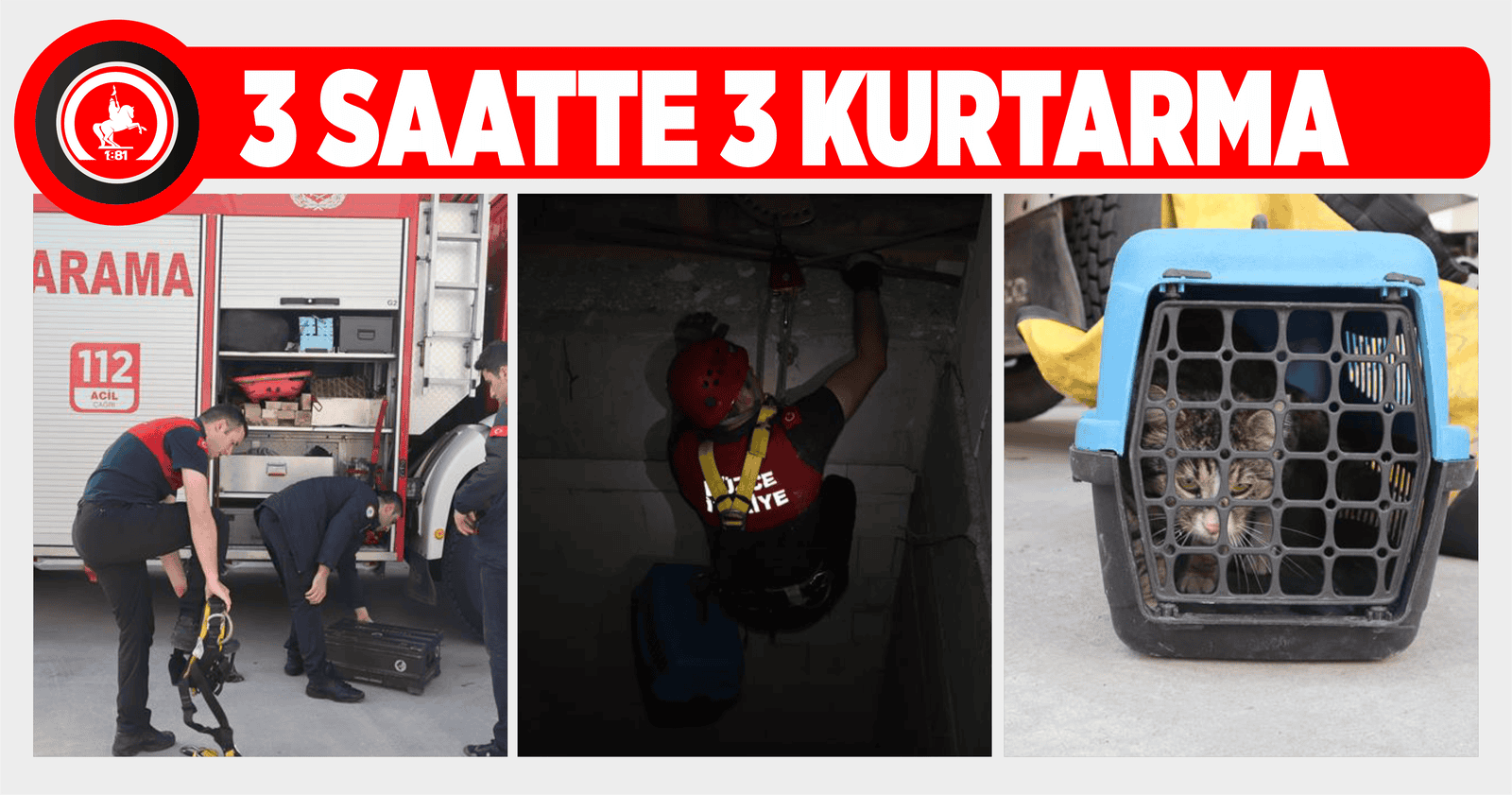MAHSUR KALAN HAYVANLARIN YARDIMINA KOŞTULAR