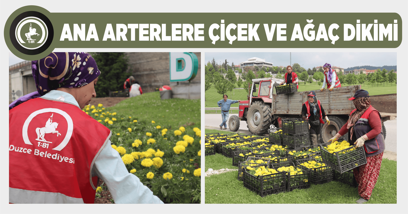 DÜZCE ÇİÇEKLENDİ