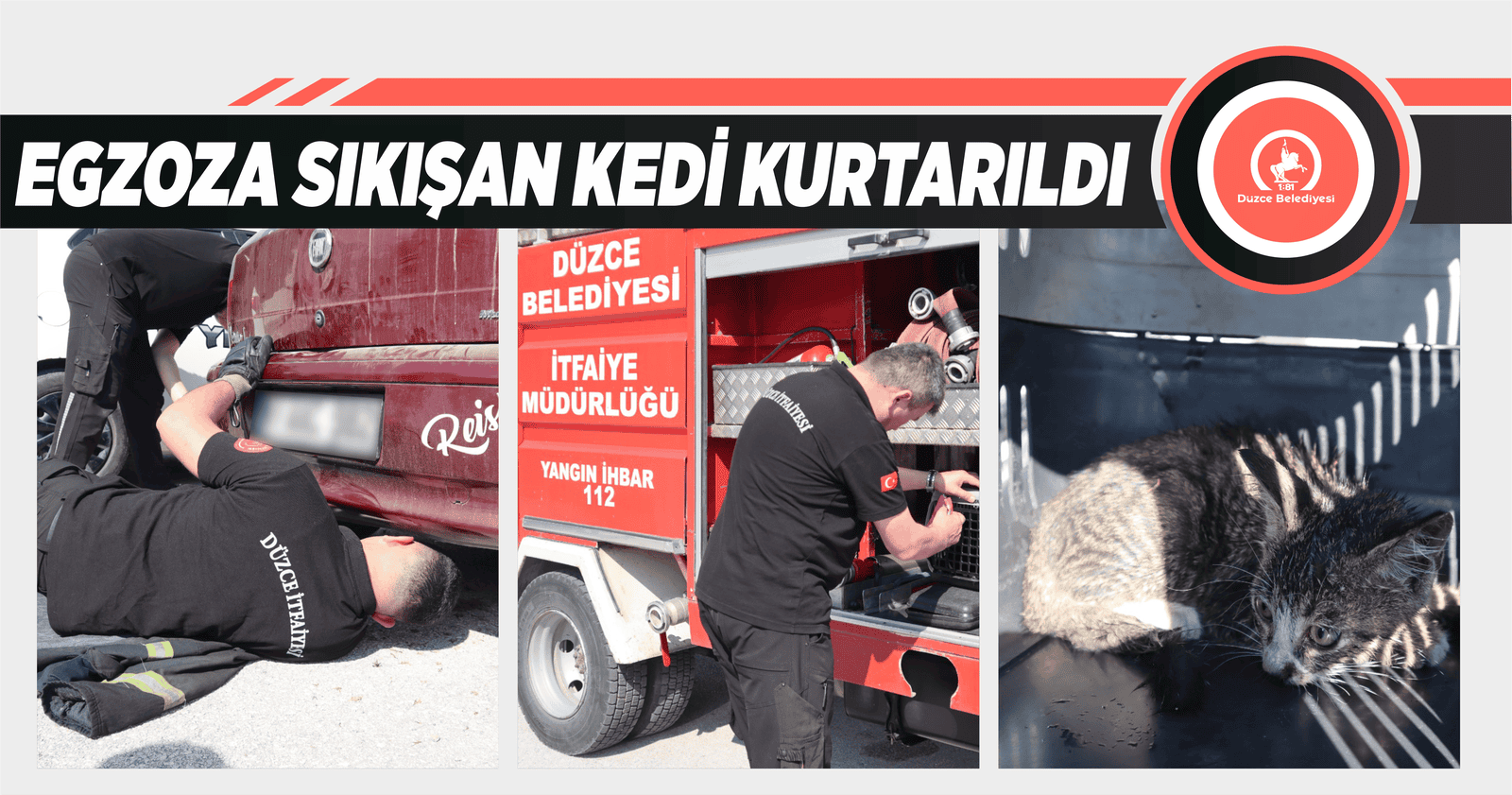 EGZOZA SIKIŞAN KEDİ KURTARILDI