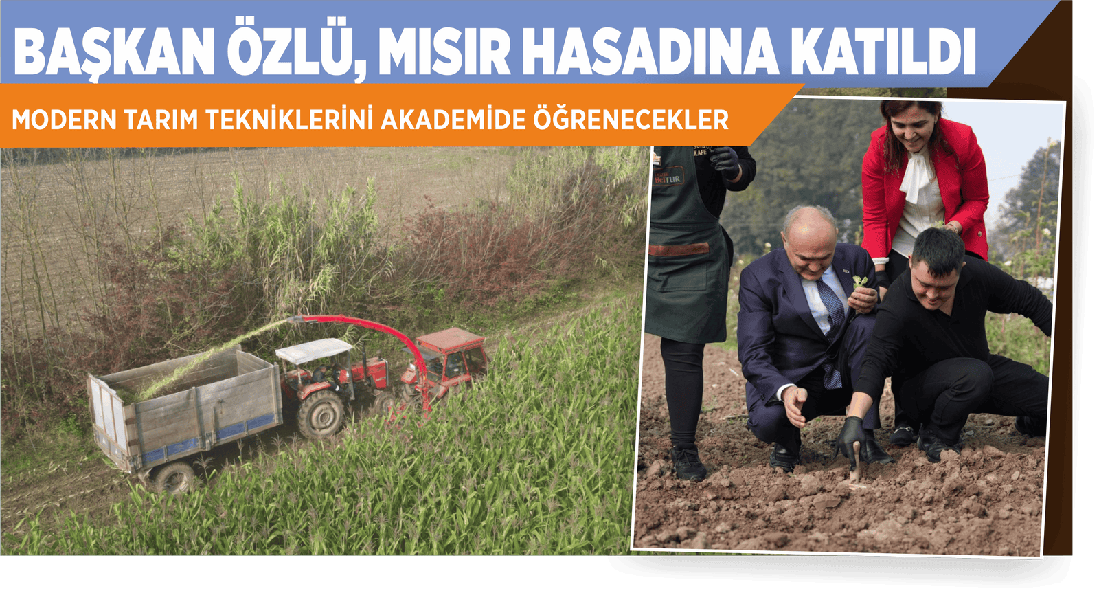 BAŞKAN ÖZLÜ, MISIR HASADINA KATILDI