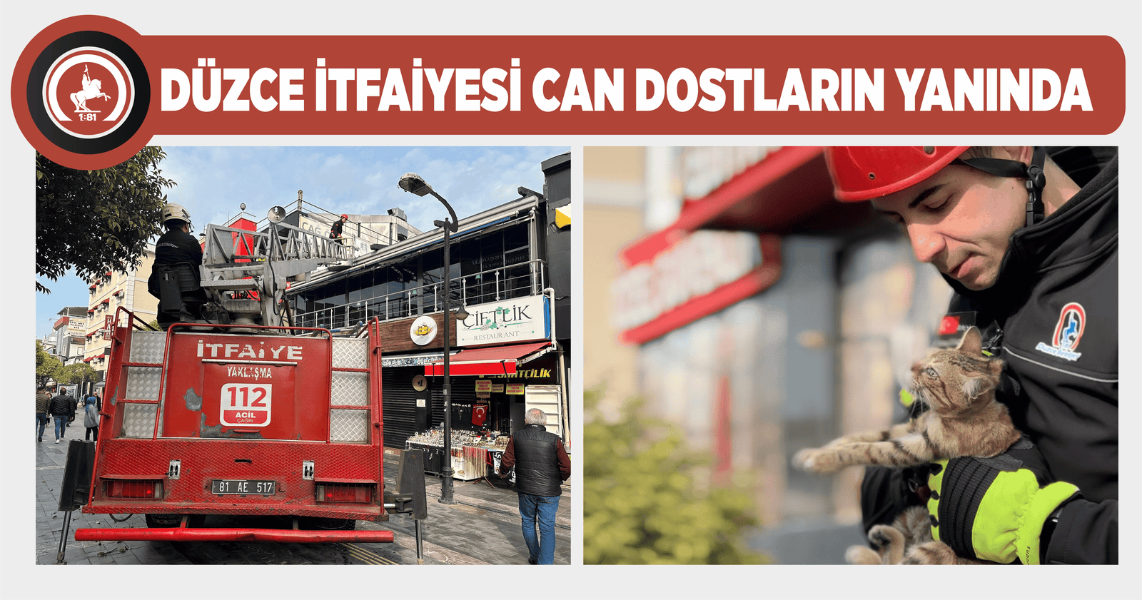 NEFES KESEN KEDİ KURTARMA OPERASYONU