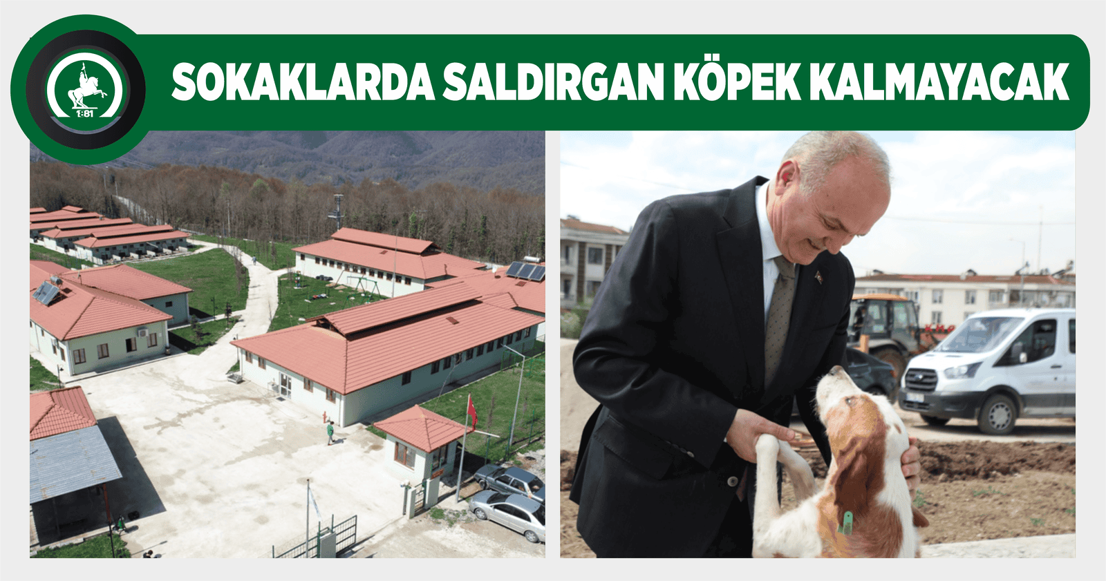 SOKAKLARDA SALDIRGAN KÖPEK KALMAYACAK