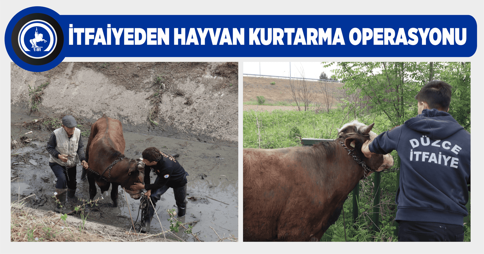 İTFAİYEDEN HAYVAN KURTARMA OPERASYONU