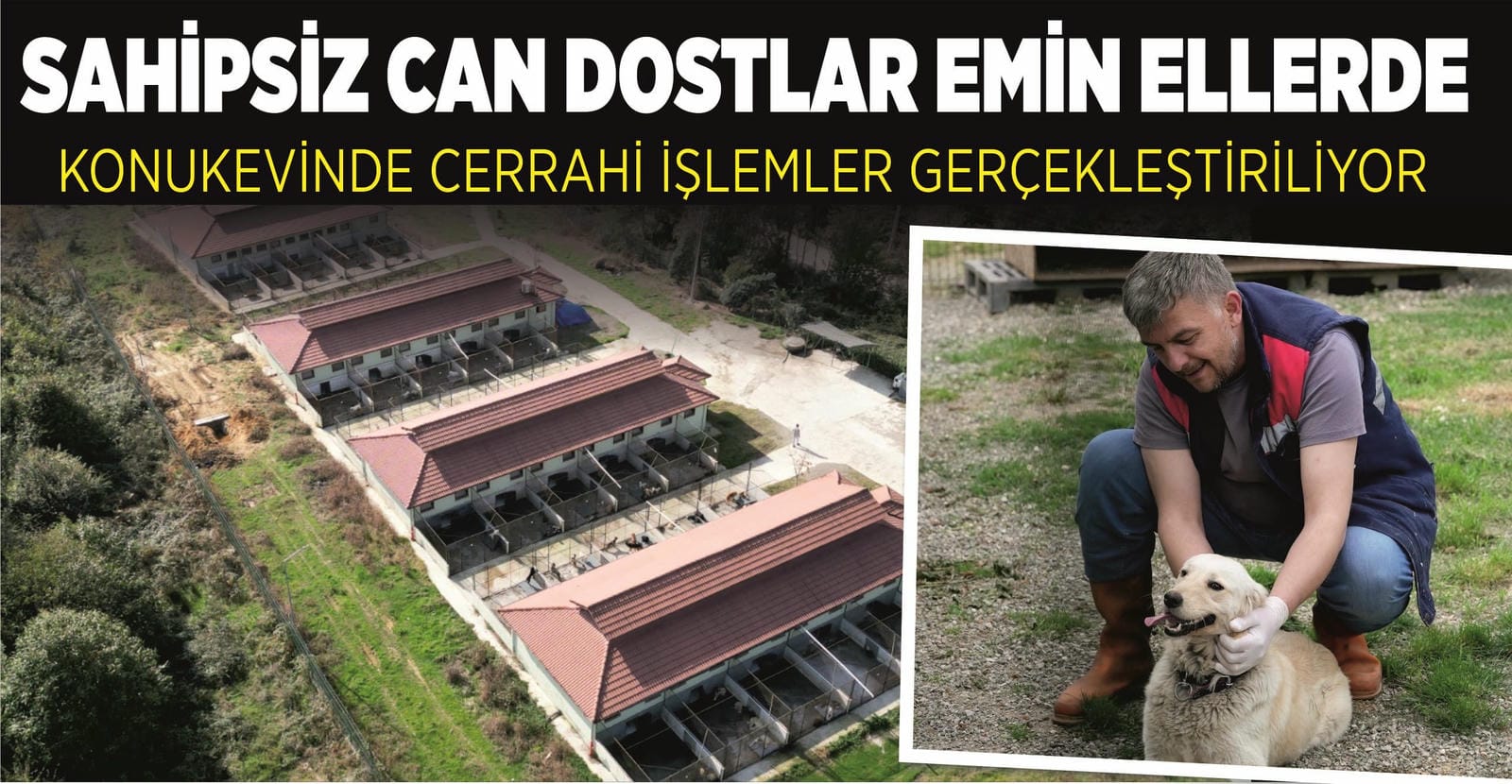 SAHİPSİZ CAN DOSTLAR EMİN ELLERDE