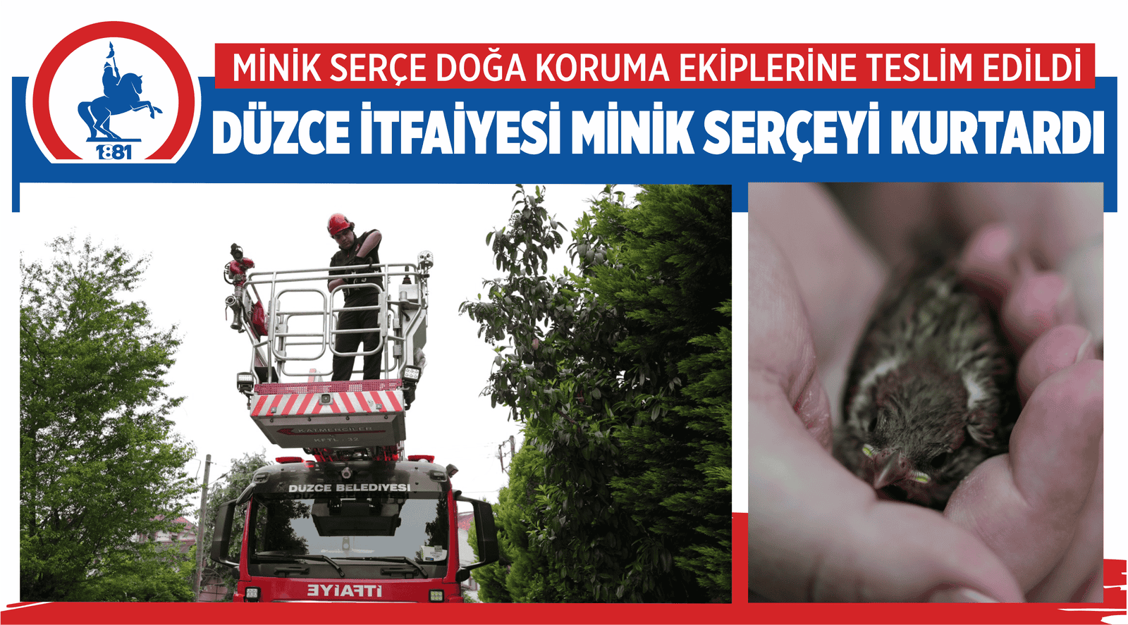 DÜZCE İTFAİYESİ MİNİK SERÇEYİ KURTARDI