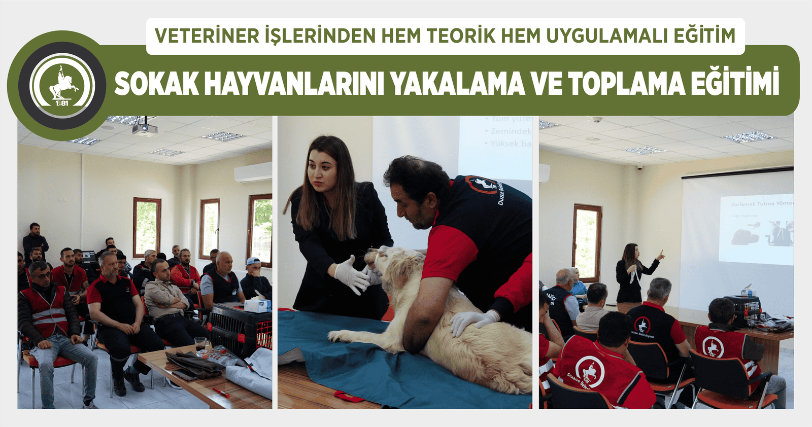 VETERİNER İŞLERİNDEN HEM TEORİK HEM UYGULAMALI EĞİTİM