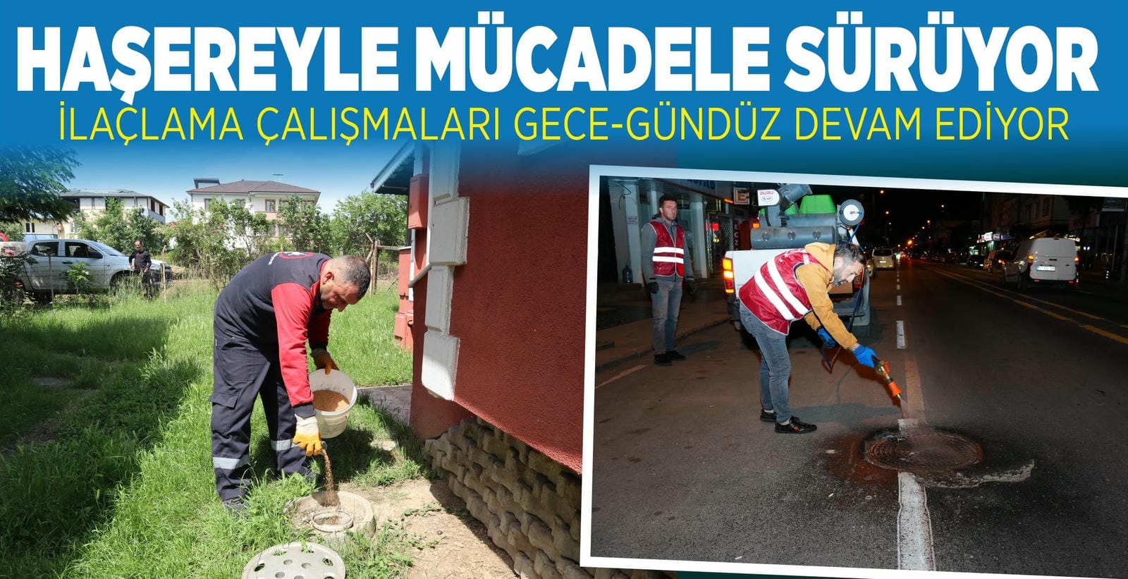 DÜZCE’DE HAŞERE İLE MÜCADELE SÜRÜYOR