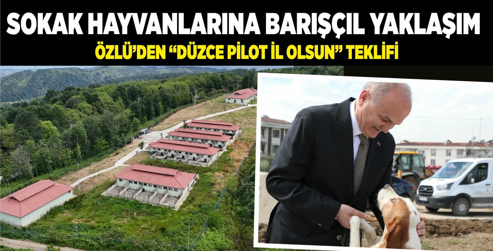 BAŞKAN ÖZLÜ’DEN SOKAK HAYVANLARI SORUNUNA ‘BARIŞÇIL’ YAKLAŞIM