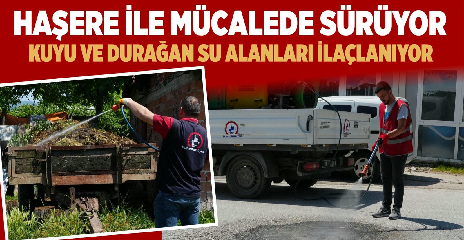 HAŞERE İLE MÜCADELE KONURALP’TE DEVAM EDİYOR