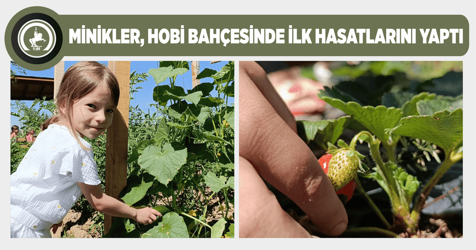 MİNİKLER, HOBİ BAHÇESİNDE İLK HASATLARINI YAPTI