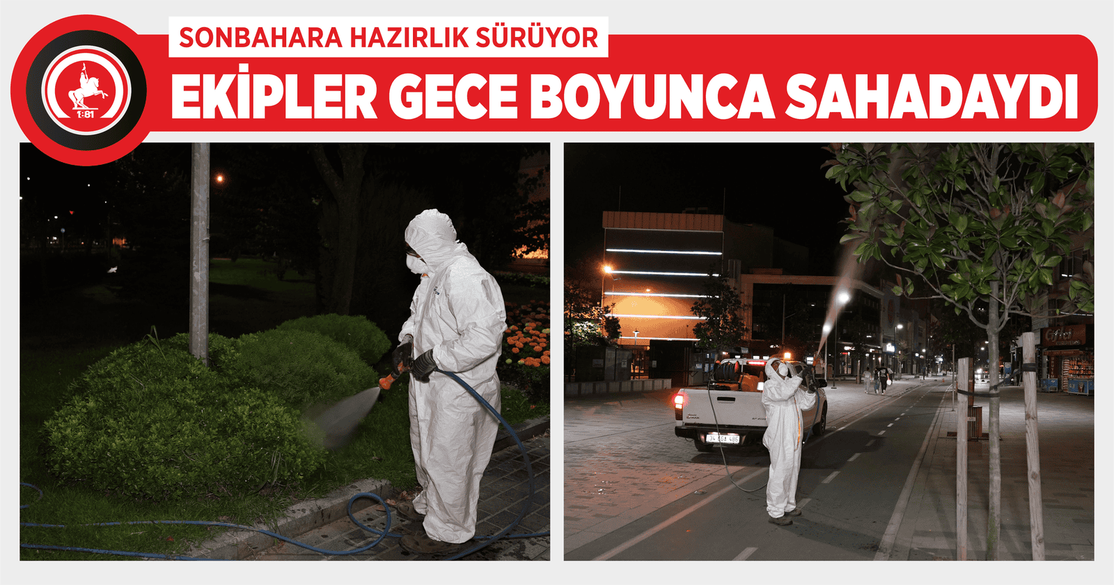 AĞAÇLAR İLAÇLANARAK KORUMAYA ALINDI