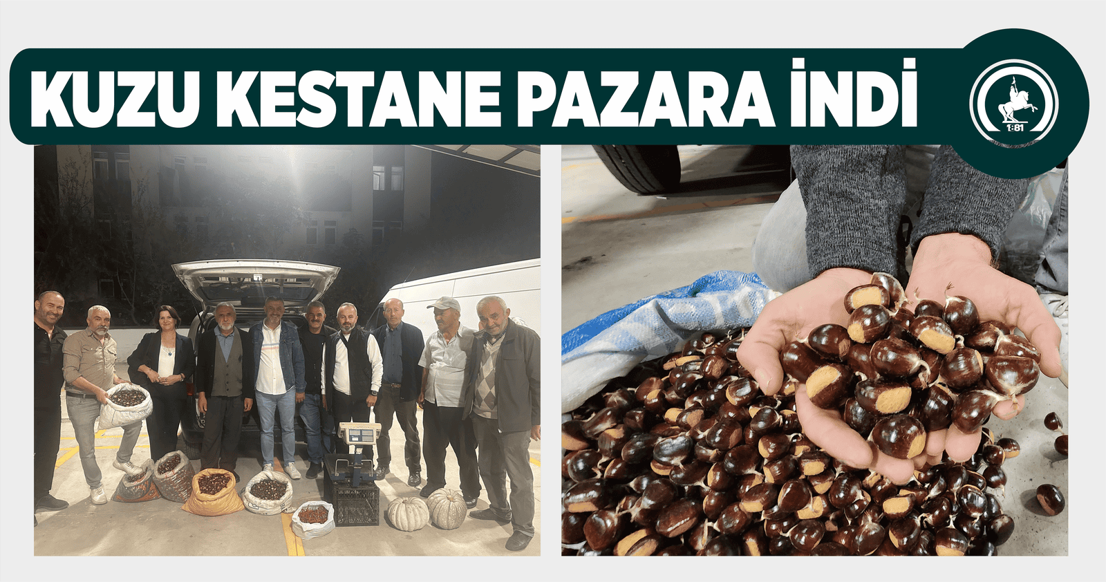 KUZU KESTANE PAZARA İNDİ