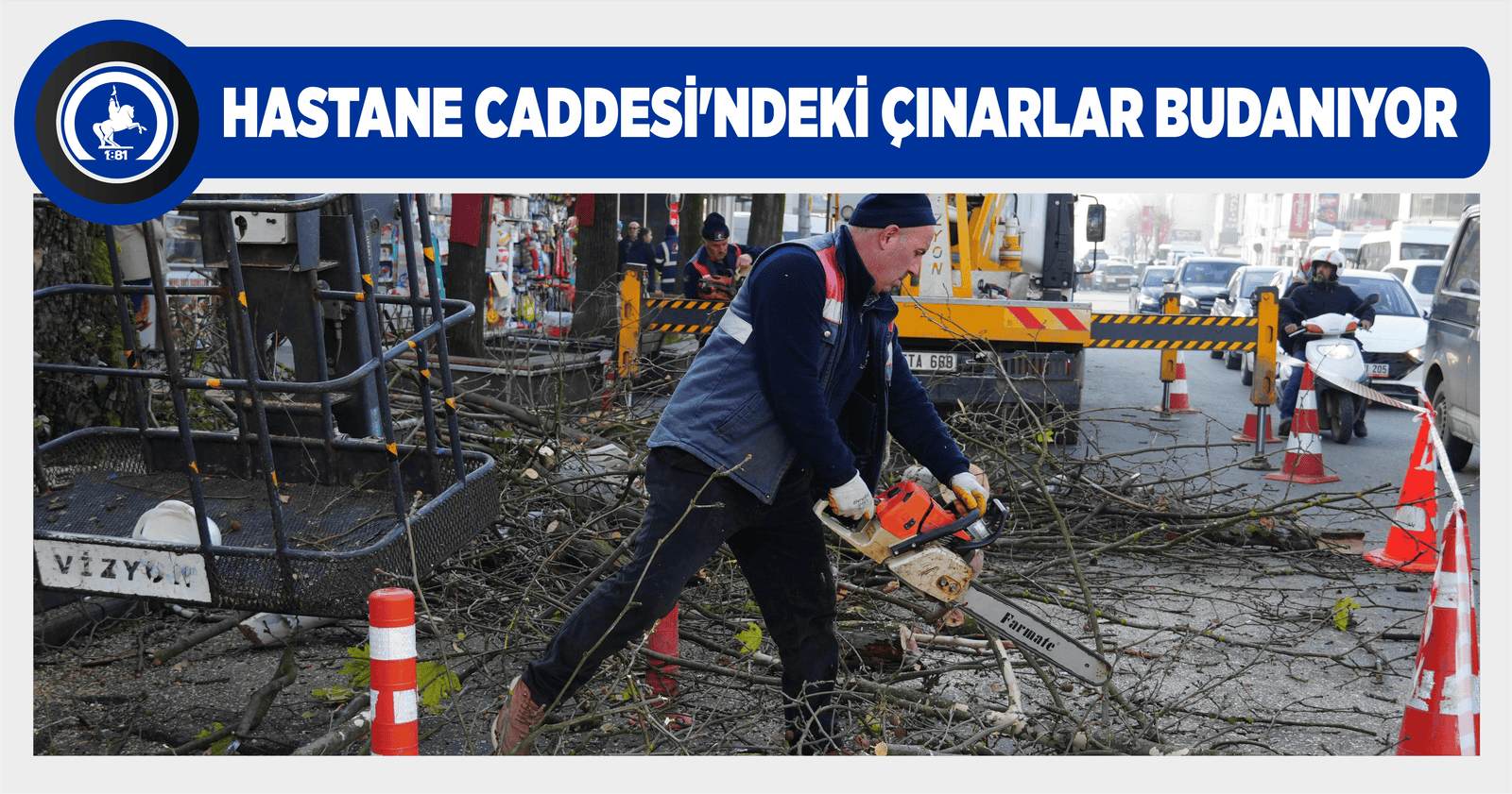 HASTANE CADDESİ’NDEKİ ÇINARLAR BUDANIYOR