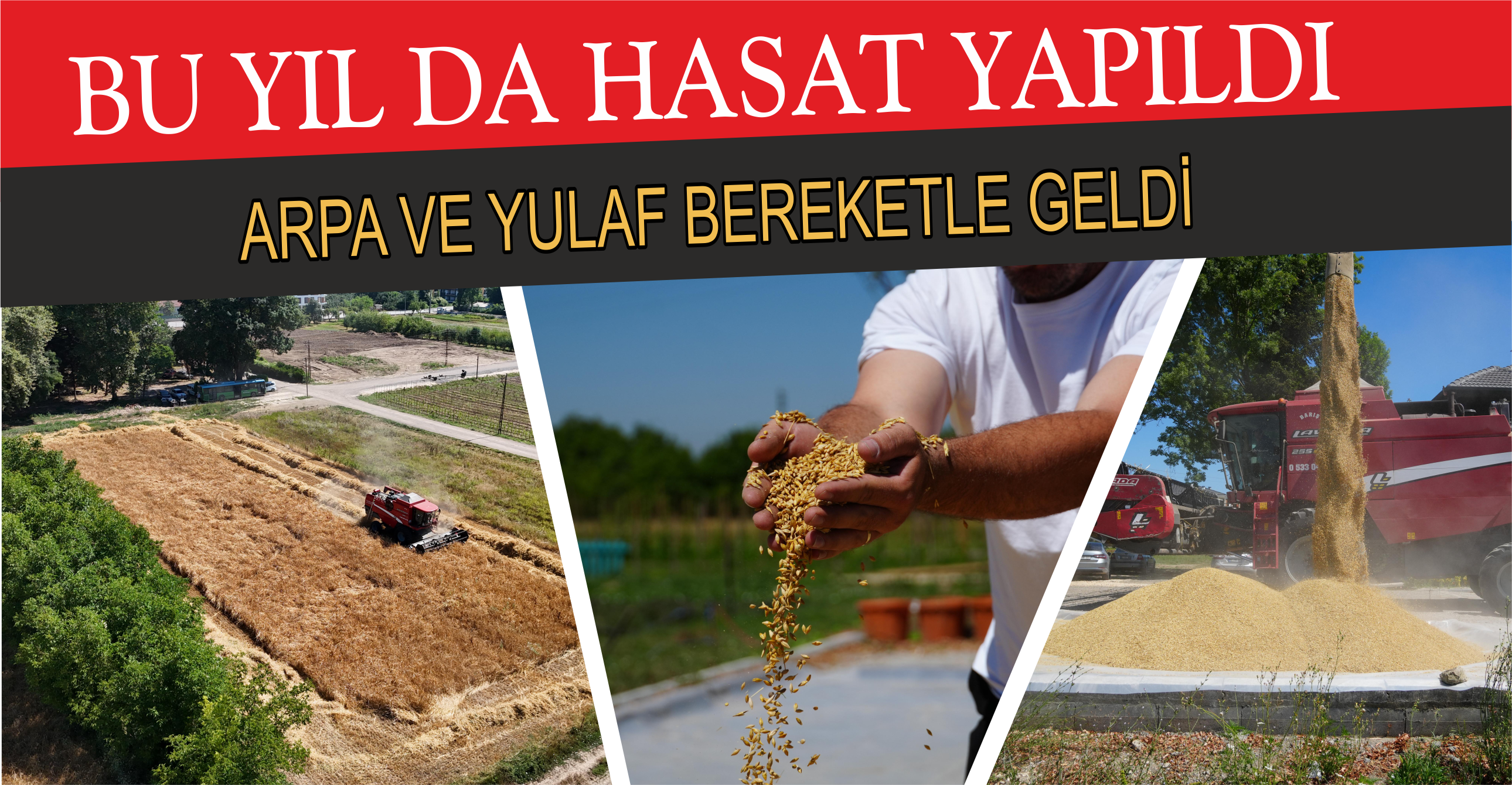 BU YIL DA HASAT YAPILDI