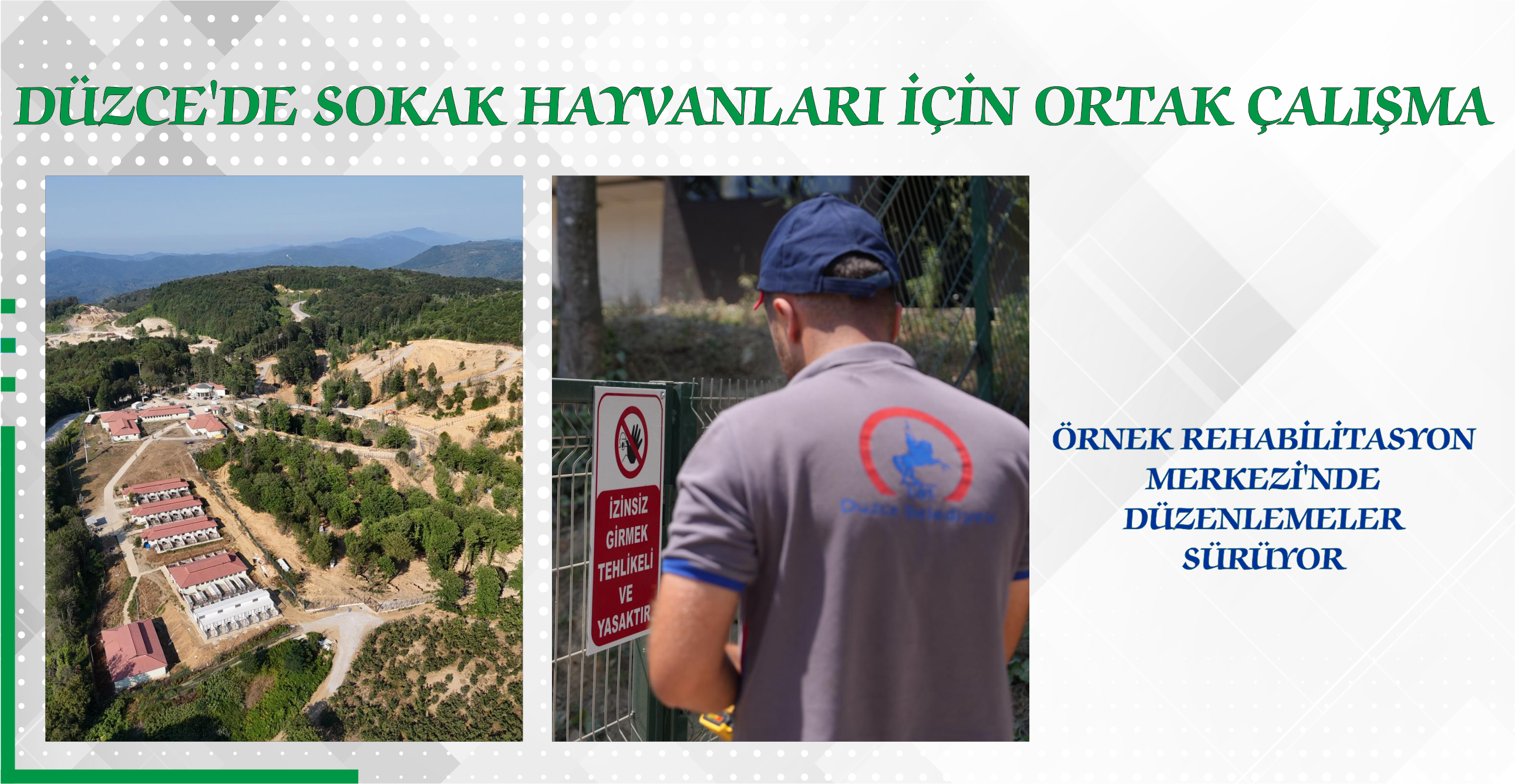 DÜZCE’DE SOKAK HAYVANLARI İÇİN ORTAK ÇALIŞMA