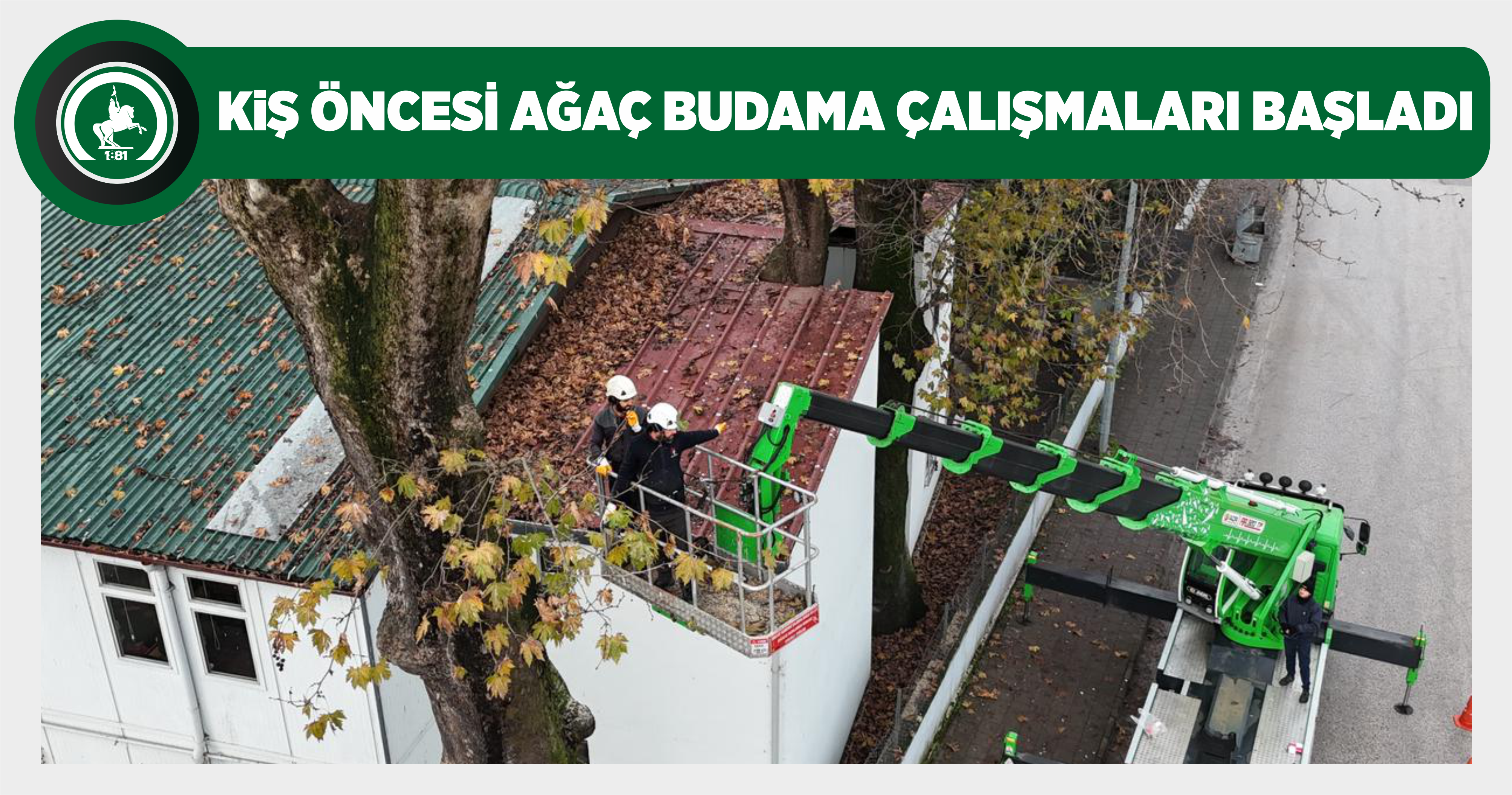 KIŞ ÖNCESİ AĞAÇ BUDAMA ÇALIŞMALARI BAŞLADI