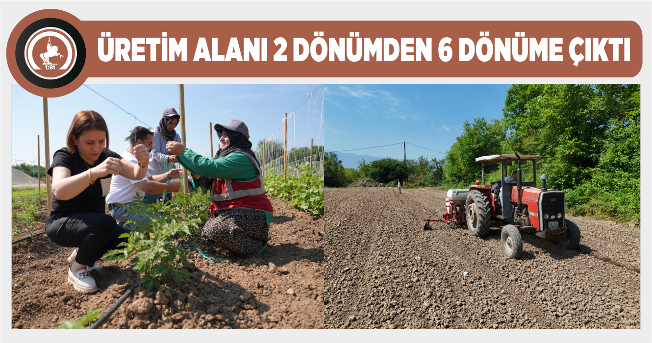 ATA TOHUMU ÜRETİMİ BÜYÜYOR