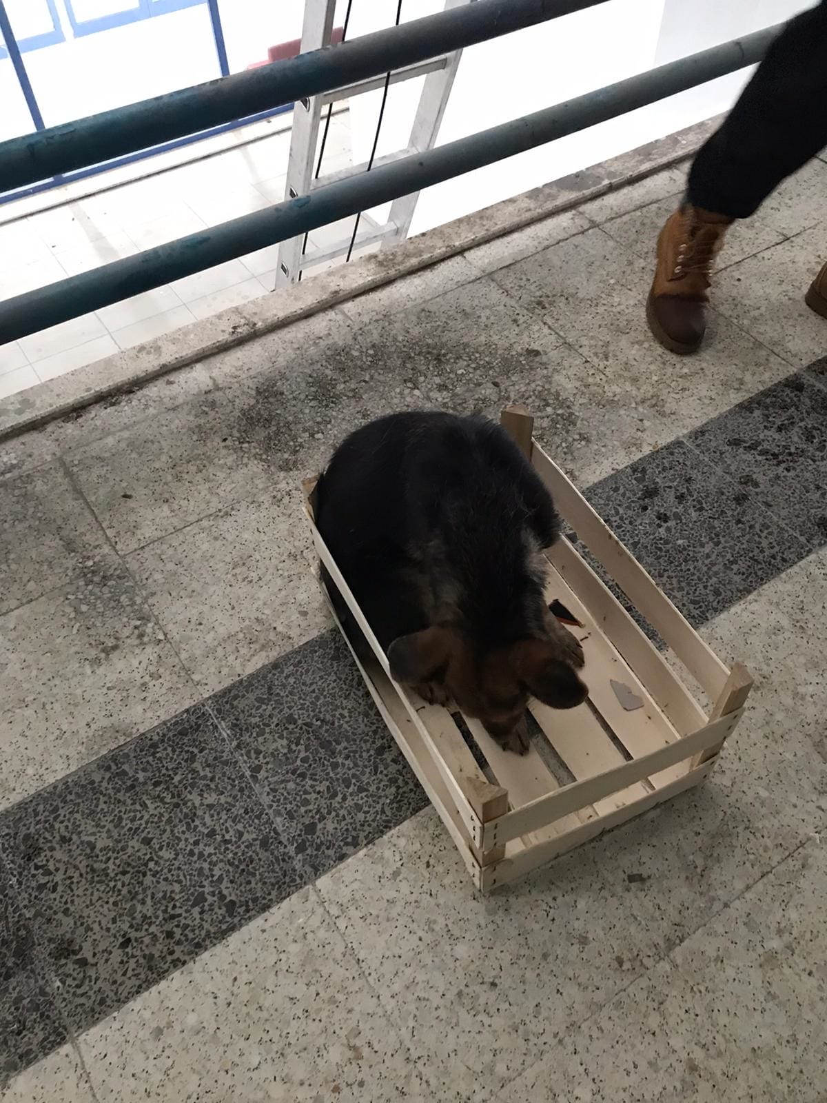 CAN DOSTLAR UNUTULMADI