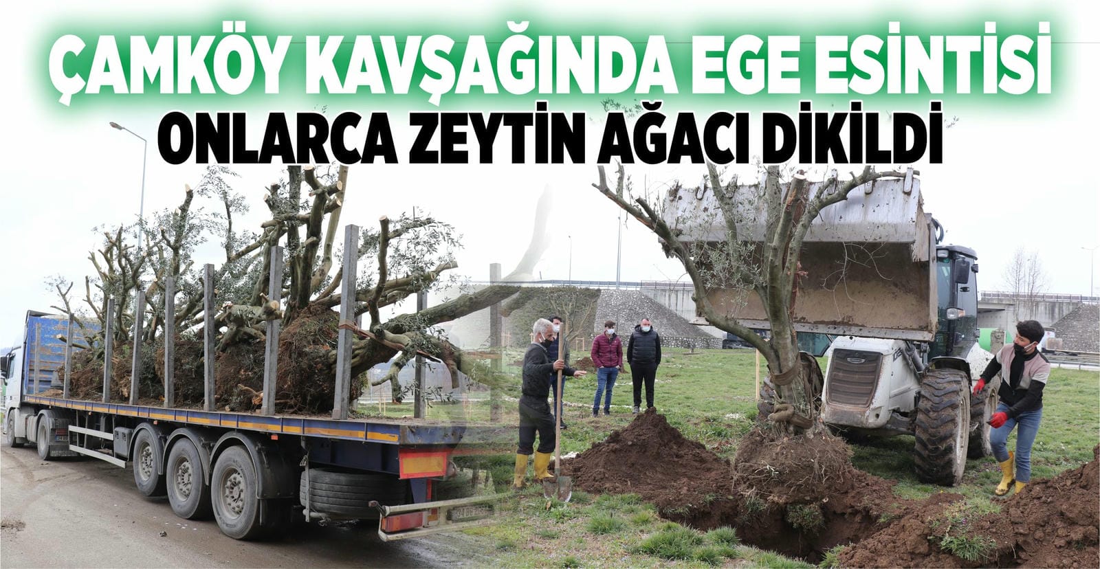 ONLARCA AĞAÇ DİKİLİYOR