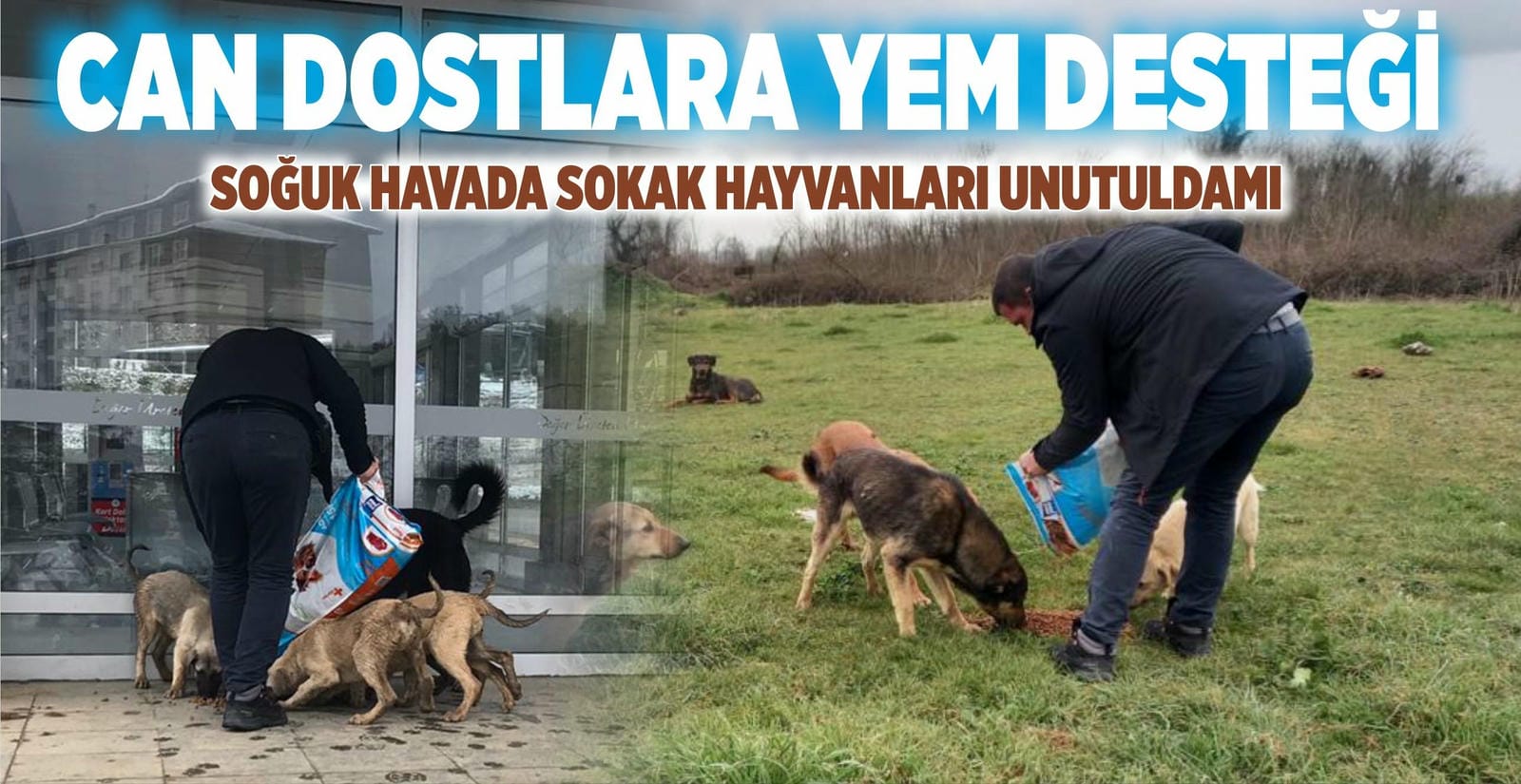 CAN DOSTLARA YEM DESTEĞİ