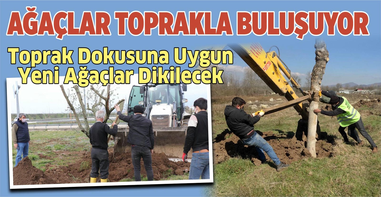 1 YILDA BİNLERCE AĞAÇ DİKİLDİ