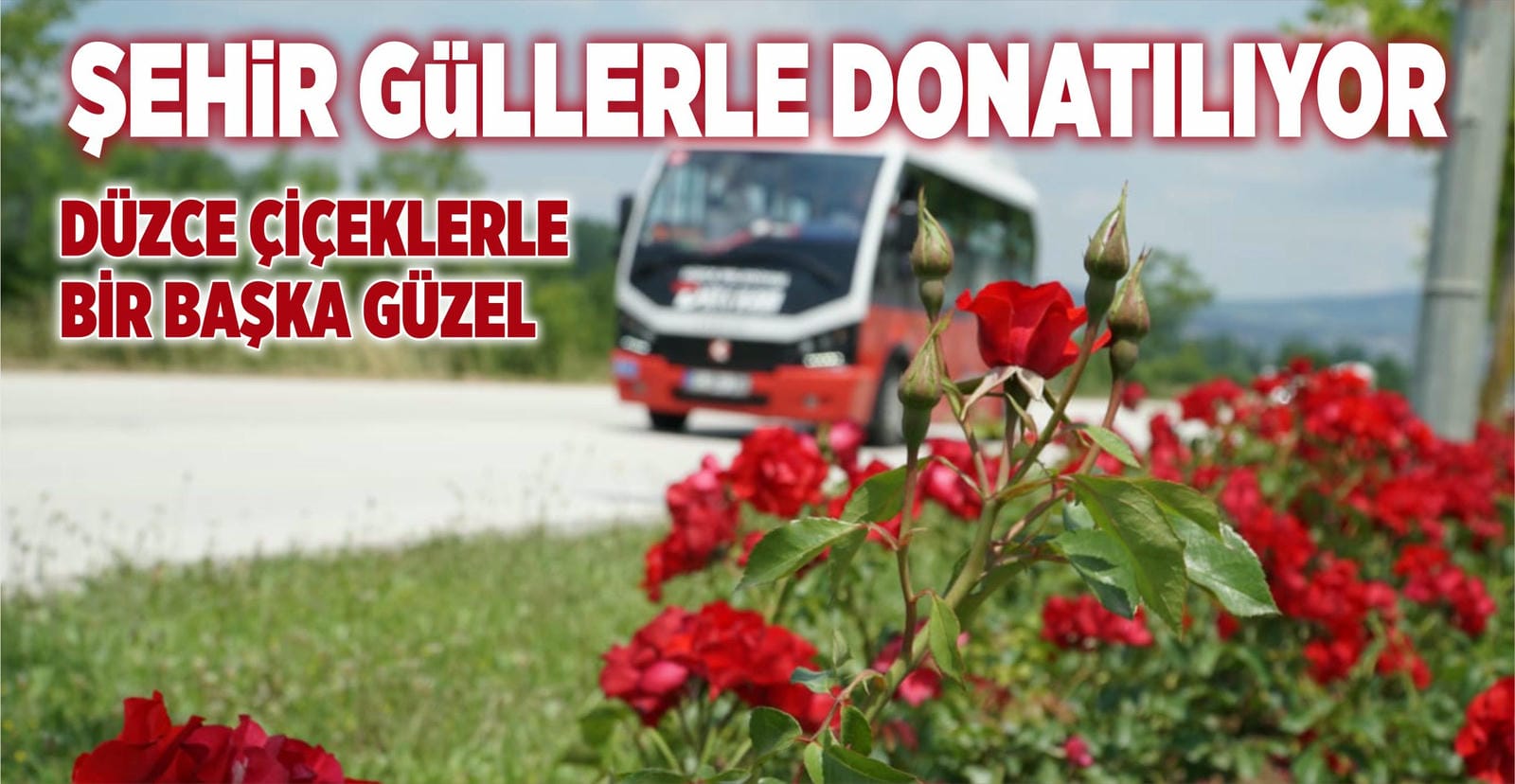 ŞEHİR GÜLLERLE DONATILIYOR