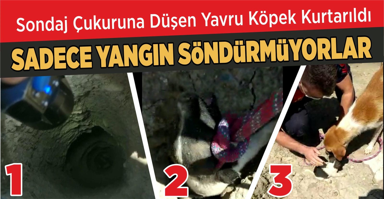 YAVRUSUNA KAVUŞAN ANNE KÖPEĞİN SEVİNCİ DUYGULANDIRDI
