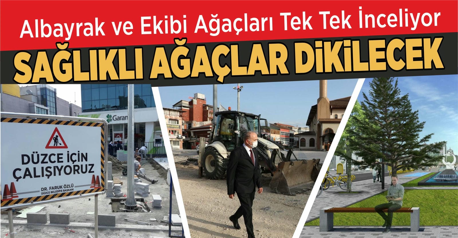 KENT ESTETİĞİNE UYGUN SAĞLIKLI AĞAÇLAR DİKİLECEK