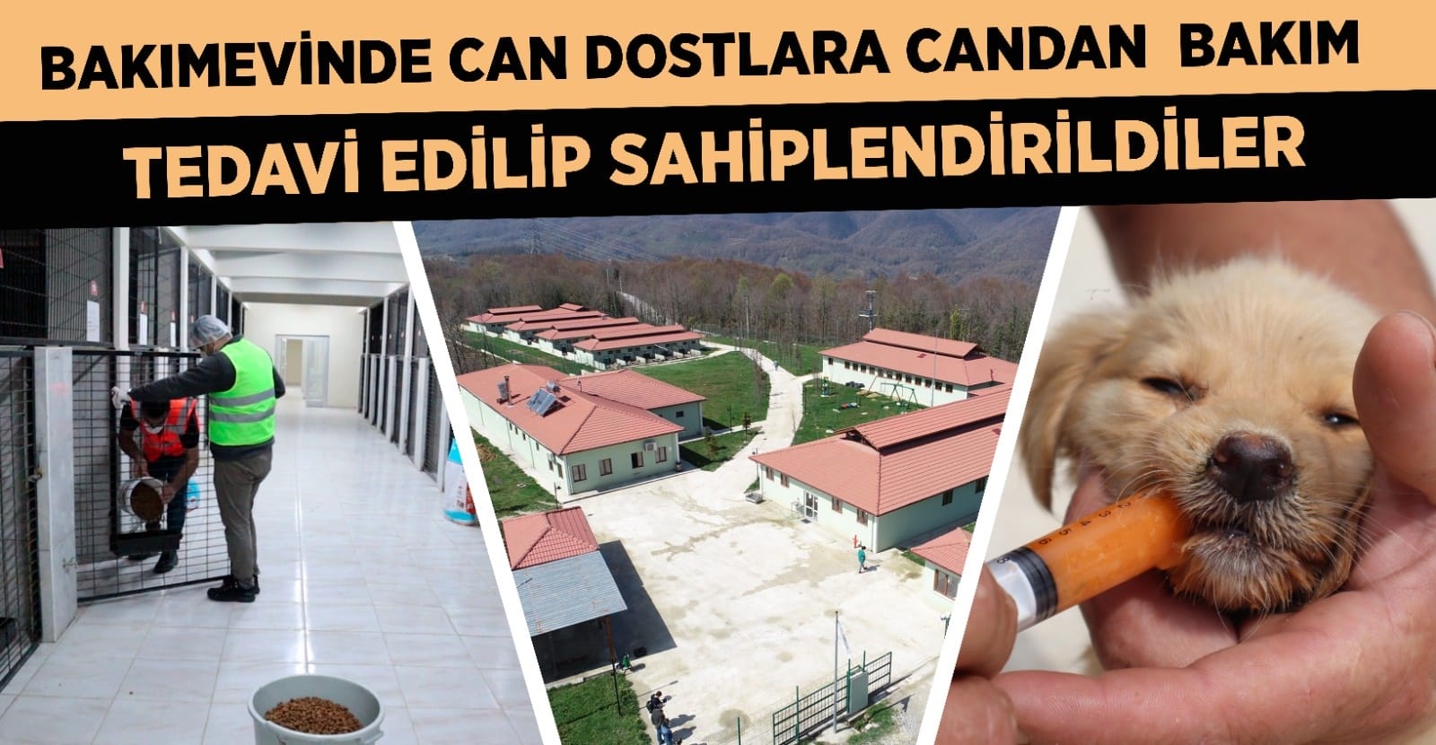 VETERİNER İŞLERİ MÜDÜRLÜĞÜMÜZ YILIN İLK YARISINI DOLU DOLU GEÇİRDİ