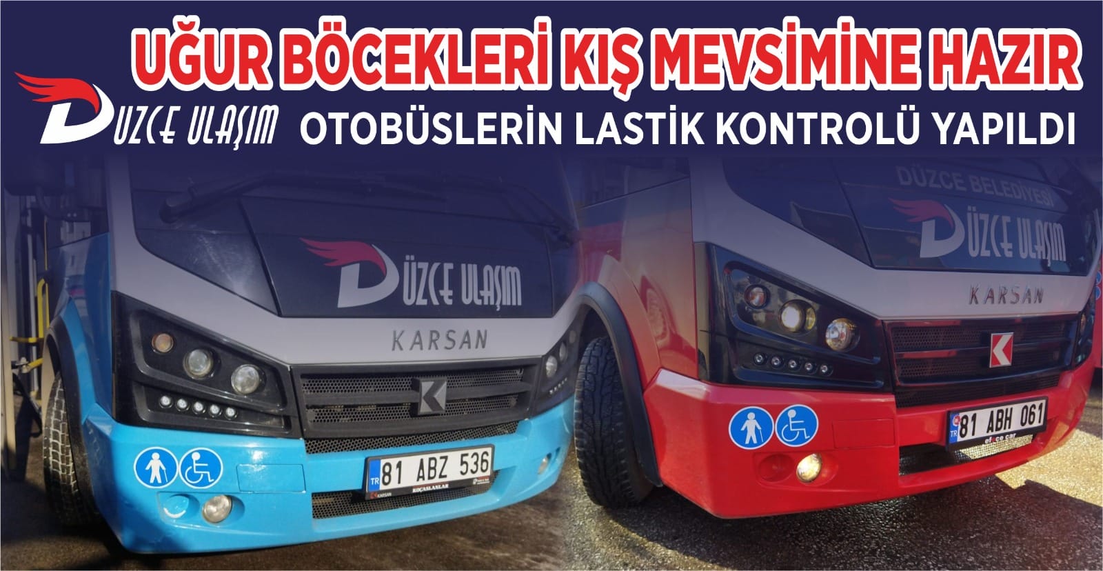UĞUR BÖCEKLERİ KIŞ MEVSİMİNE HAZIR