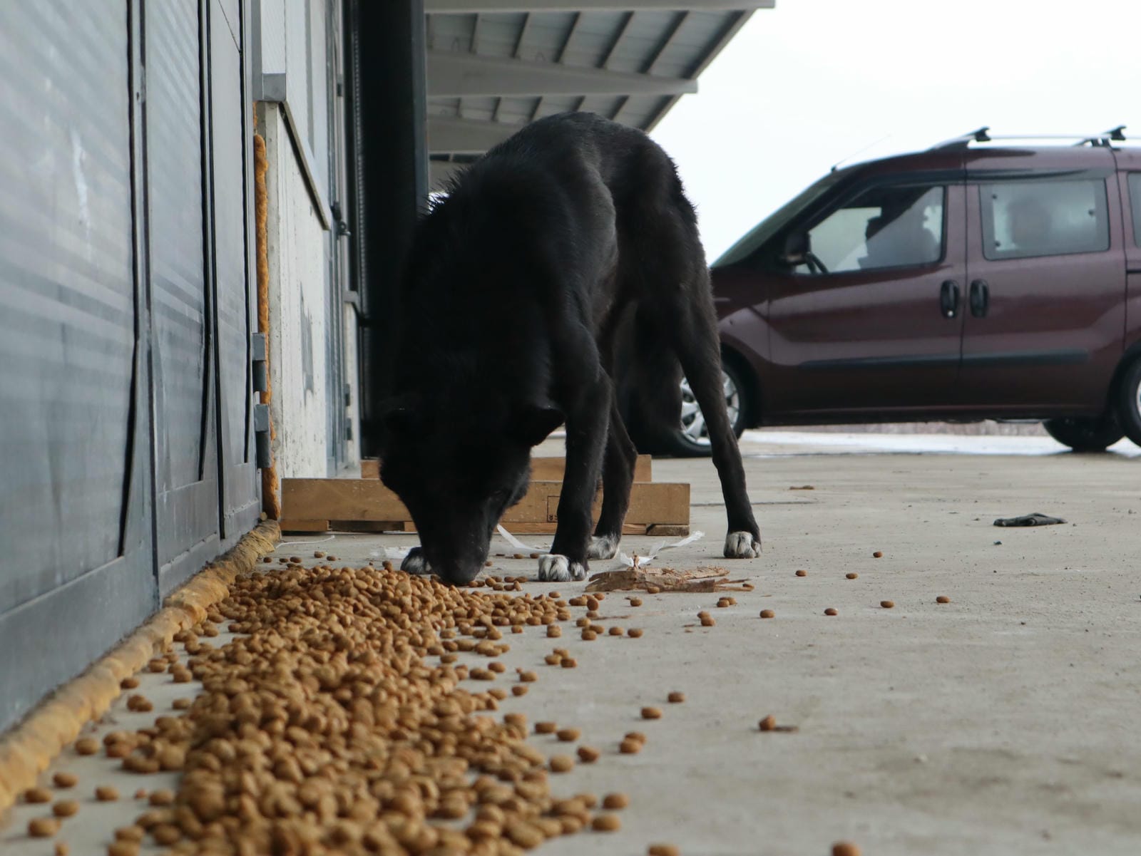 ŞEHRİN DÖRT BİR YANINA MAMA BIRAKTILAR