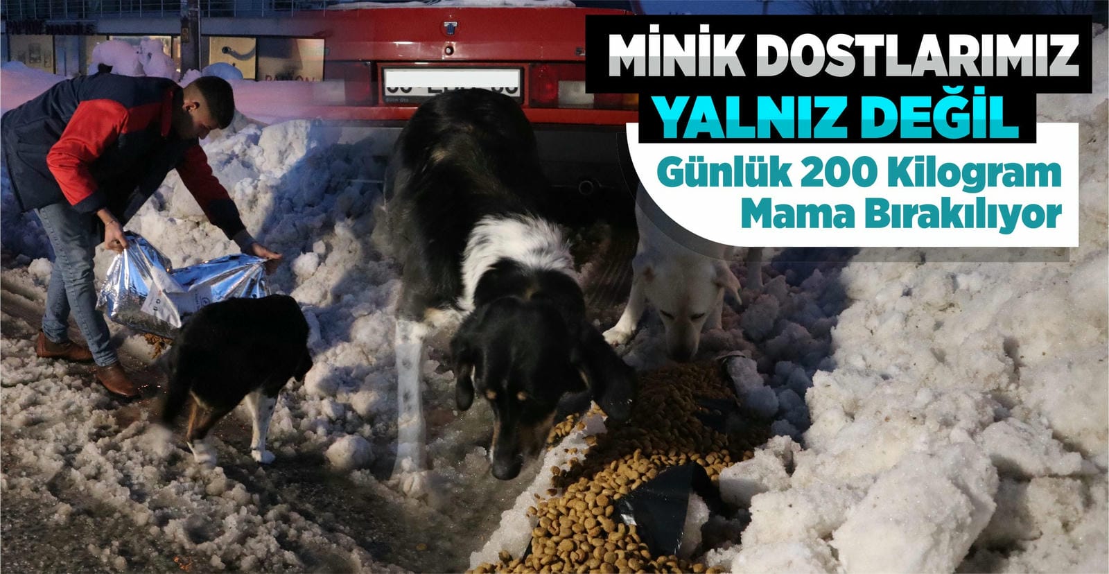 MİNİK DOSTLARIMIZ YALNIZ DEĞİL