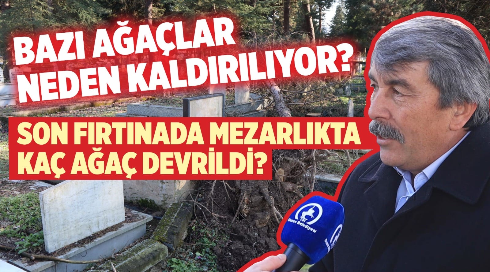 ALBAYRAK, AĞAÇ KONUSUNA AÇIKLIK GETİRDİ