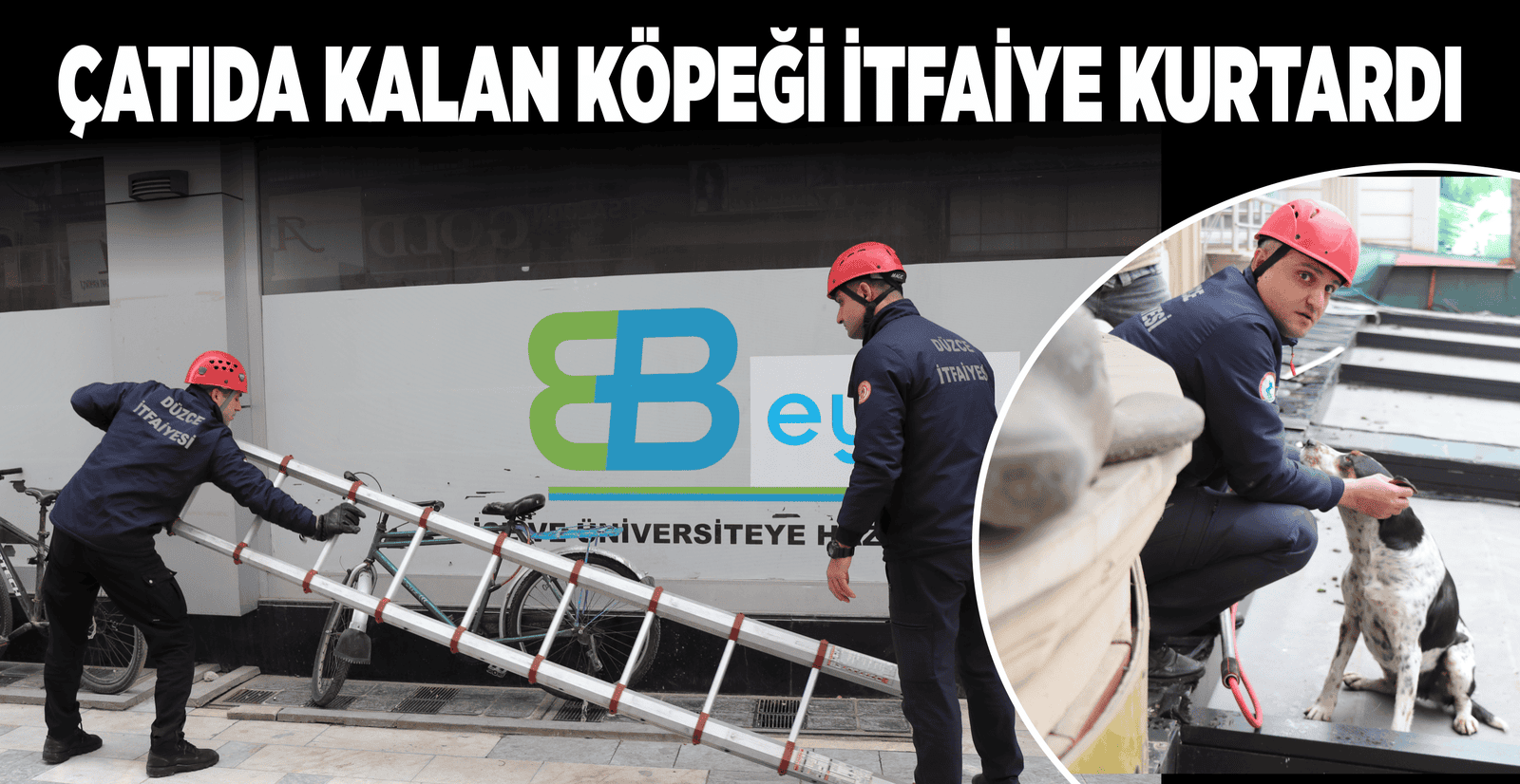 ÇATIDA KALAN KÖPEĞİ İTFAİYE KURTARDI