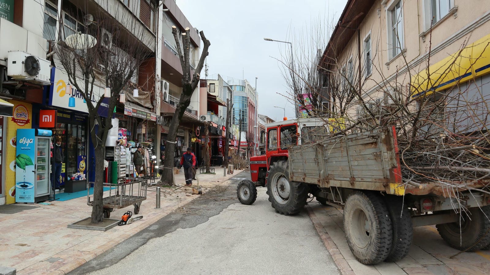 ÇÜRÜMÜŞ AĞAÇLAR KALDIRILDI