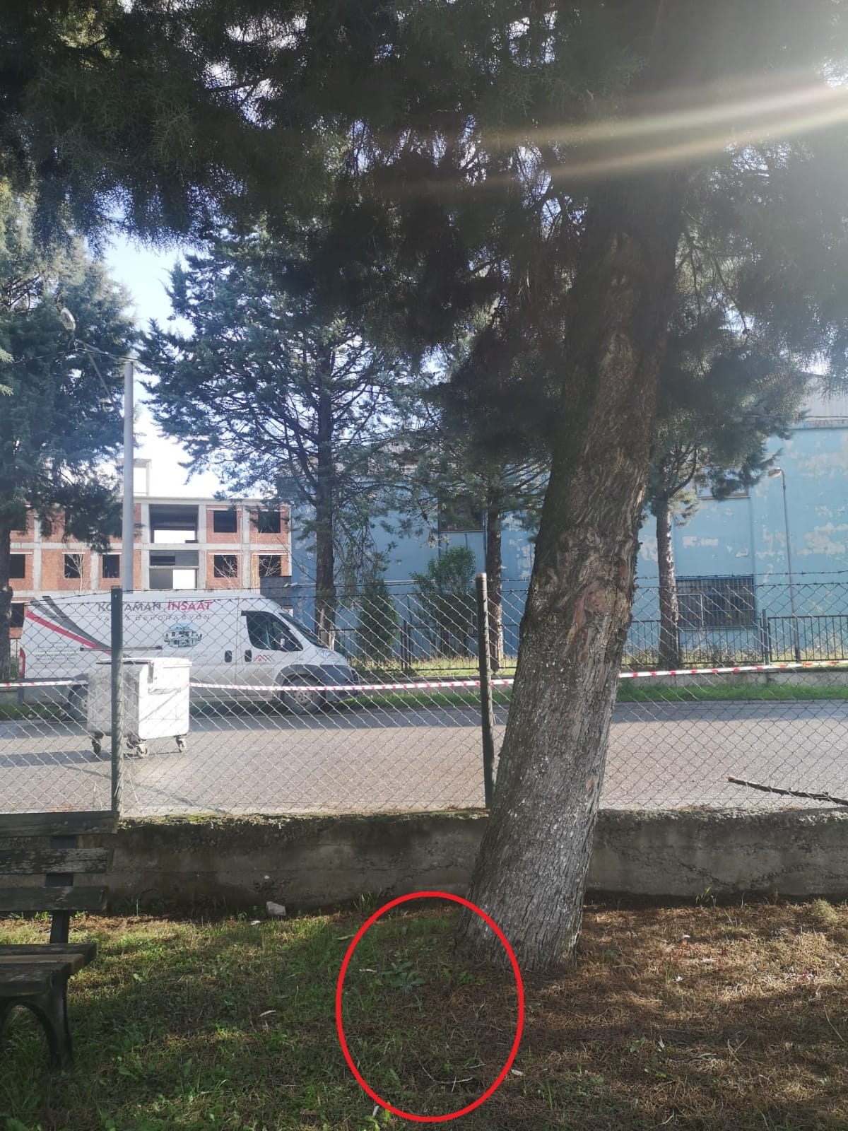 PEYZAJ ÇALIŞMASIYLA GÜZELLİĞİ ORTAYA ÇIKACAK