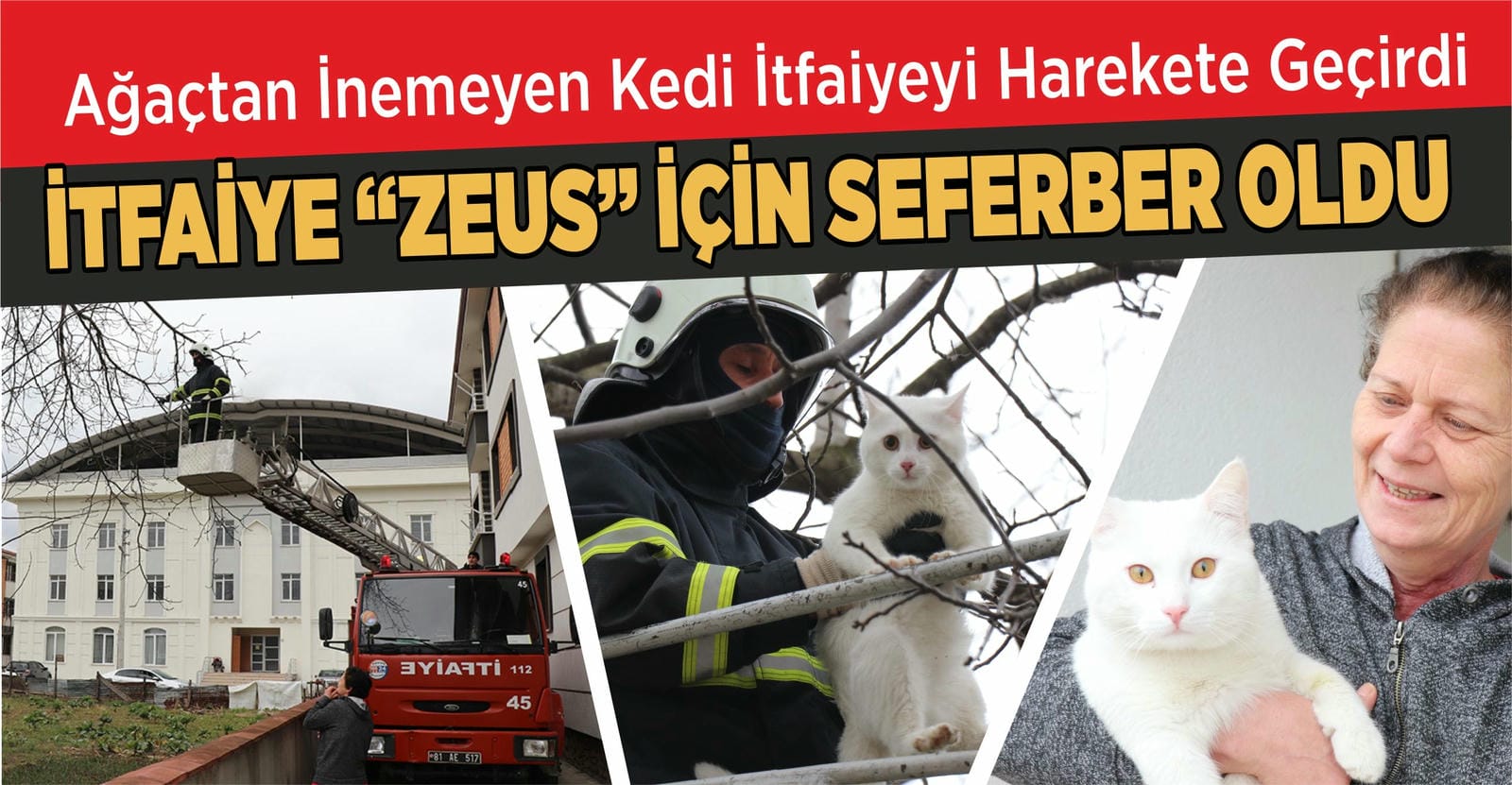 İTFAİYE EKİPLERİ AĞAÇTA KALAN KEDİYİ KURTARDI