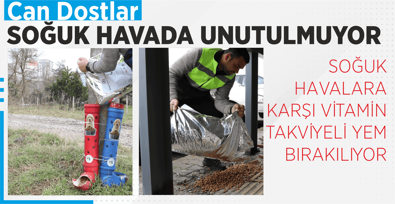 DÜZCE BELEDİYESİ, SOKAK HAYVANLARININ YANINDA