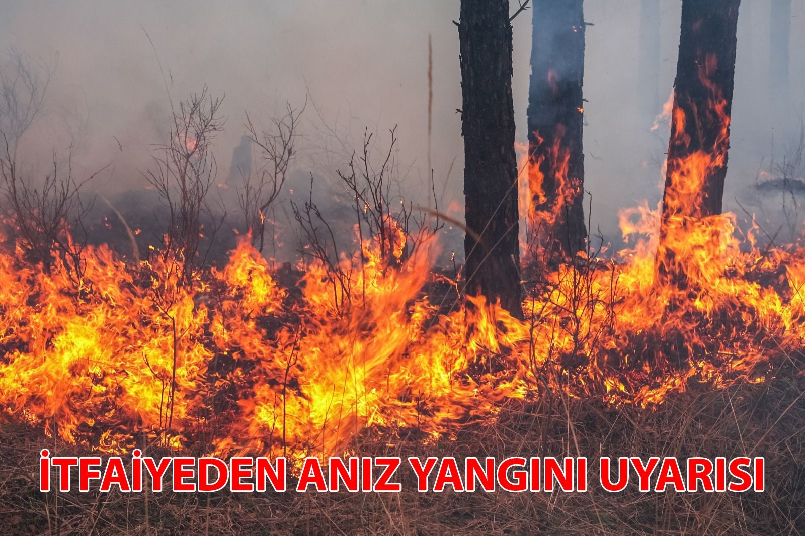 ANIZ YANGINLARINA KARŞI DUYARLILIK ÇAĞRISI