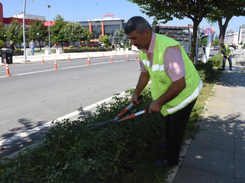 GENÇLEŞTİRME BUDAMASI YAPILDI